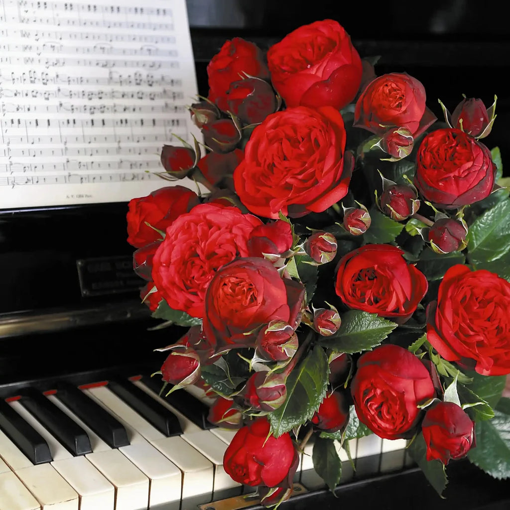 Piano®
