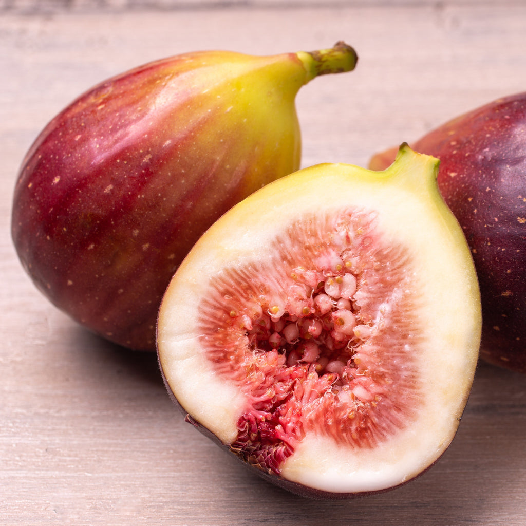 Ficus carica 'Italian Everbearing'  - Italian Everbearing Fig