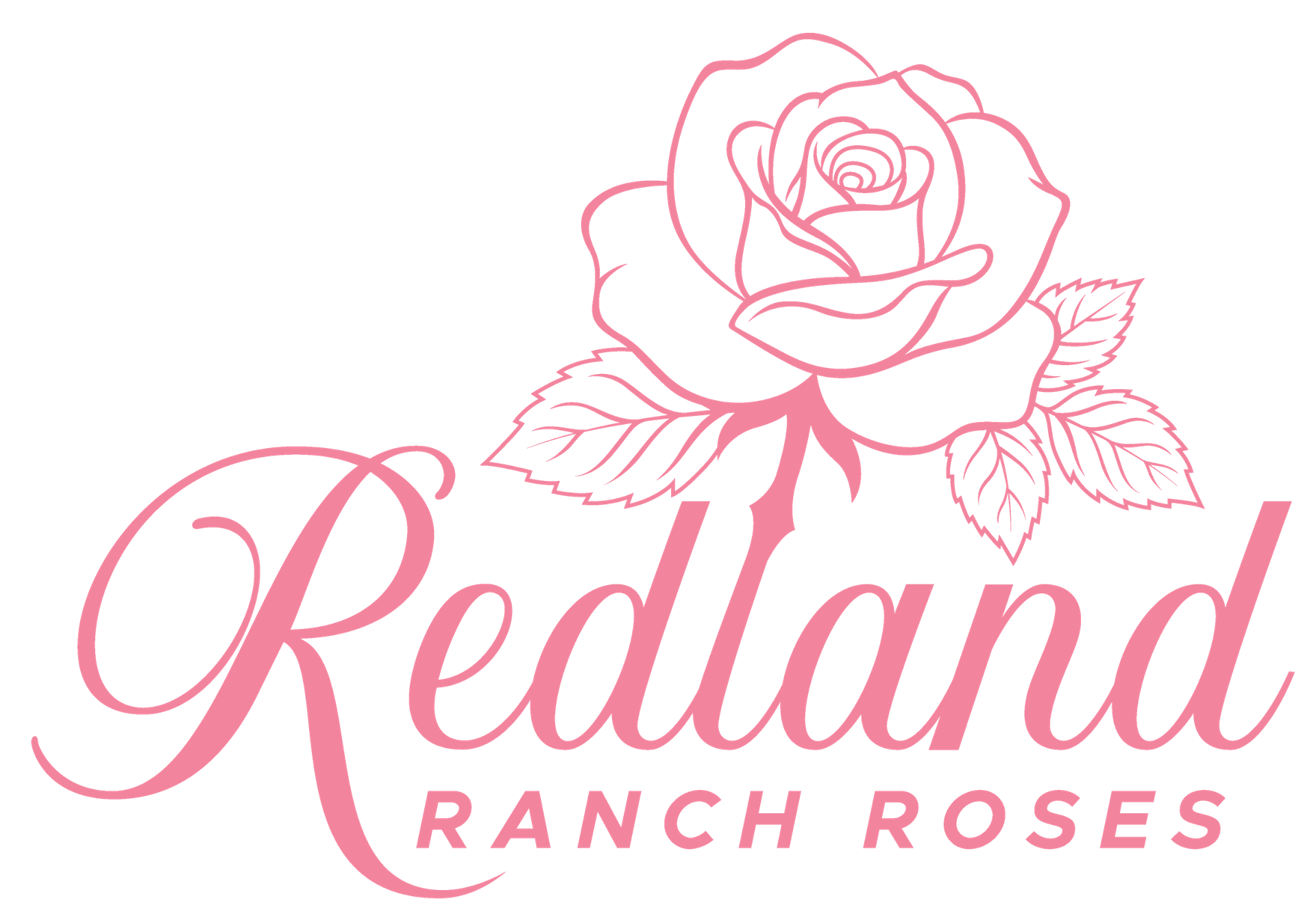 Redland Ranch Roses